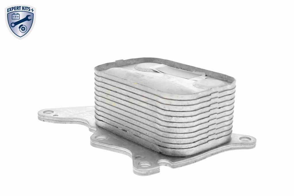 Radiador óleo motor VEMO ref. V42-60-0008