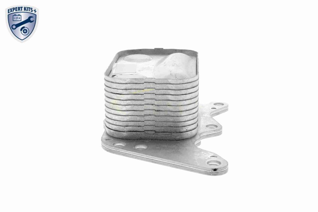 Radiador óleo motor VEMO ref. V42-60-0008