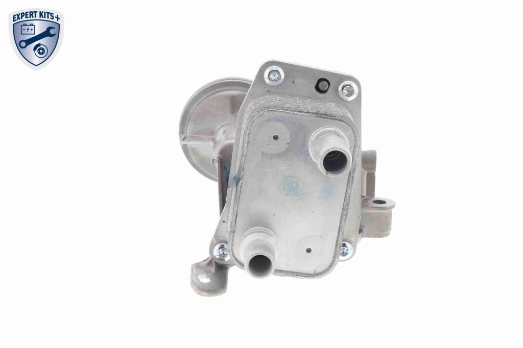 Radiador de aceite, aceite motor VEMO ref. V42-60-0010