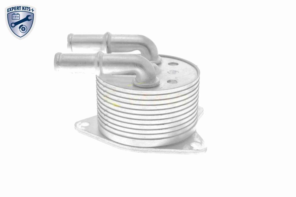 Radiador óleo motor VEMO ref. V42-60-0012