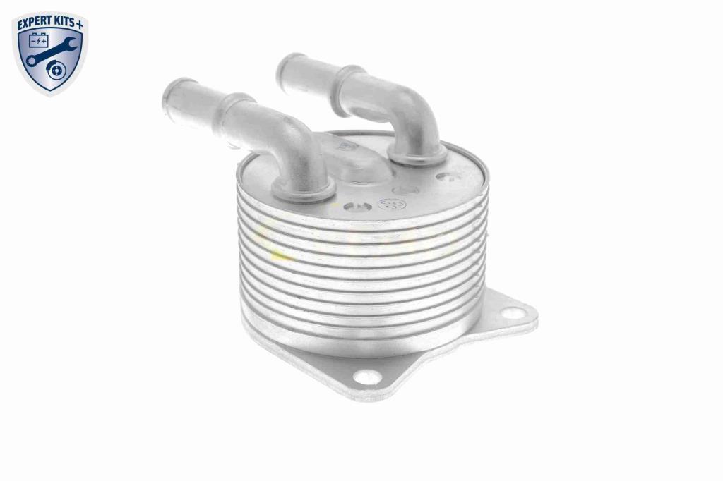 Radiador óleo motor VEMO ref. V42-60-0012