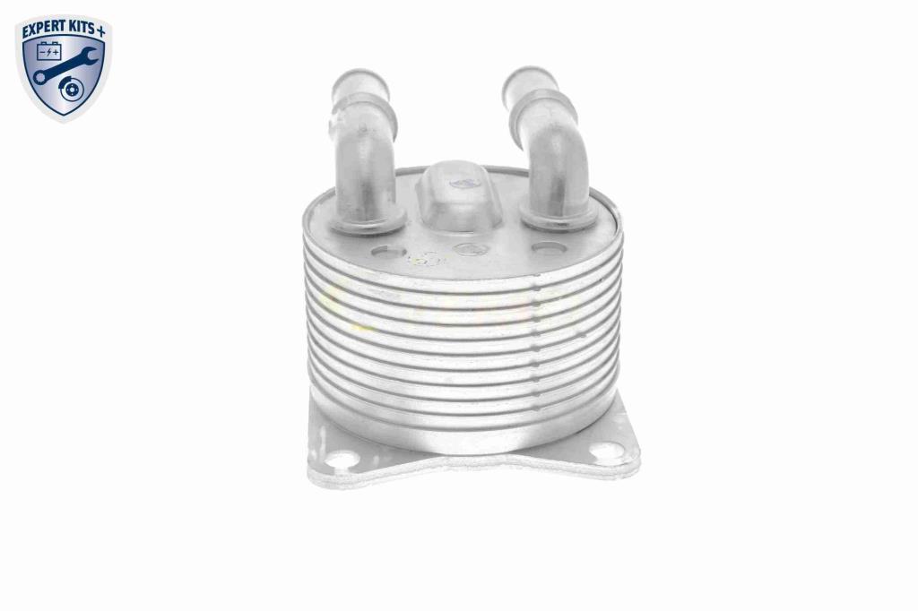 Radiador óleo motor VEMO ref. V42-60-0012