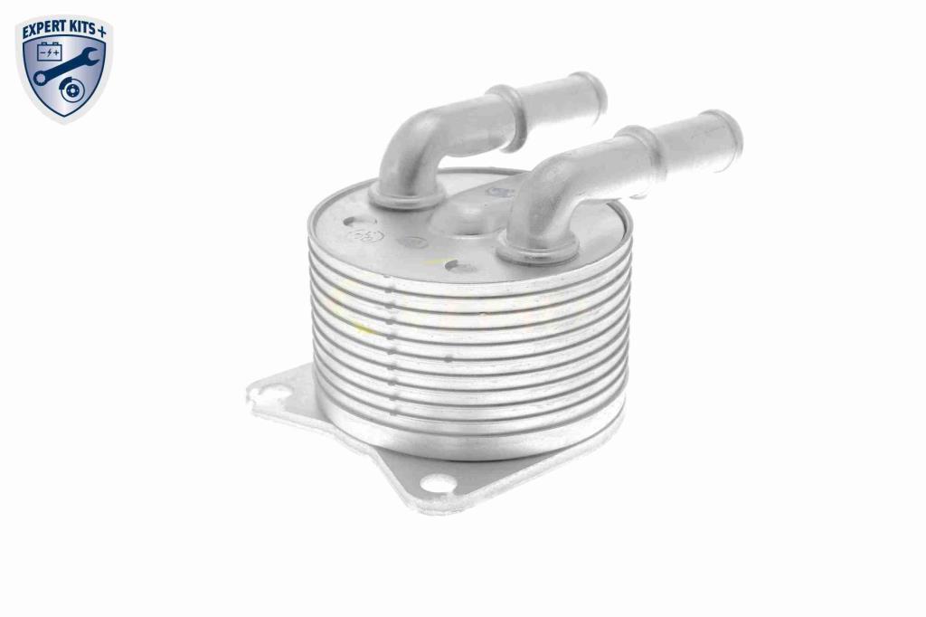 Radiador óleo motor VEMO ref. V42-60-0012