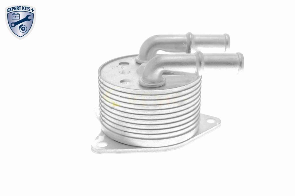 Radiador óleo motor VEMO ref. V42-60-0012