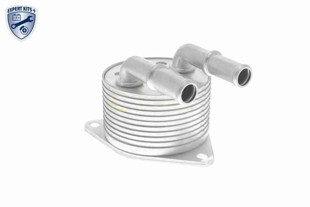 Radiador óleo motor VEMO ref. V42-60-0012