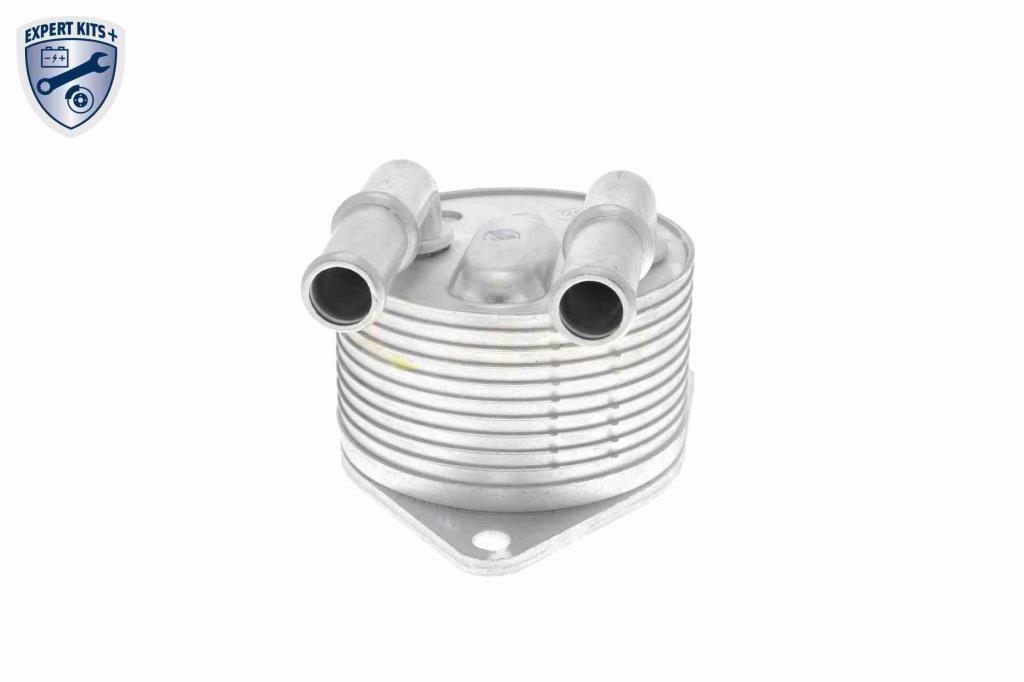 Radiador óleo motor VEMO ref. V42-60-0012