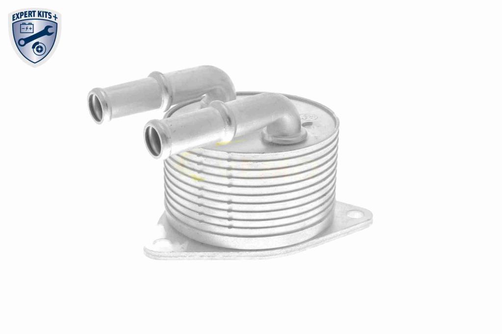 Radiador óleo motor VEMO ref. V42-60-0012