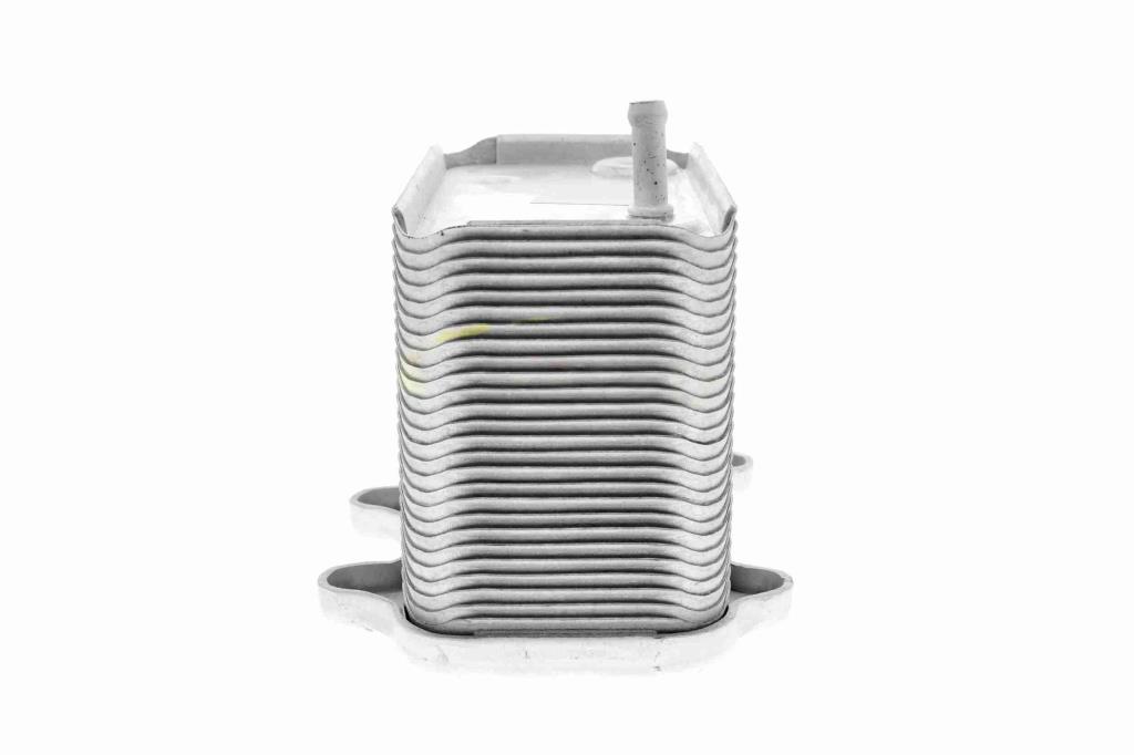 Radiador óleo motor VEMO ref. V45-60-0002
