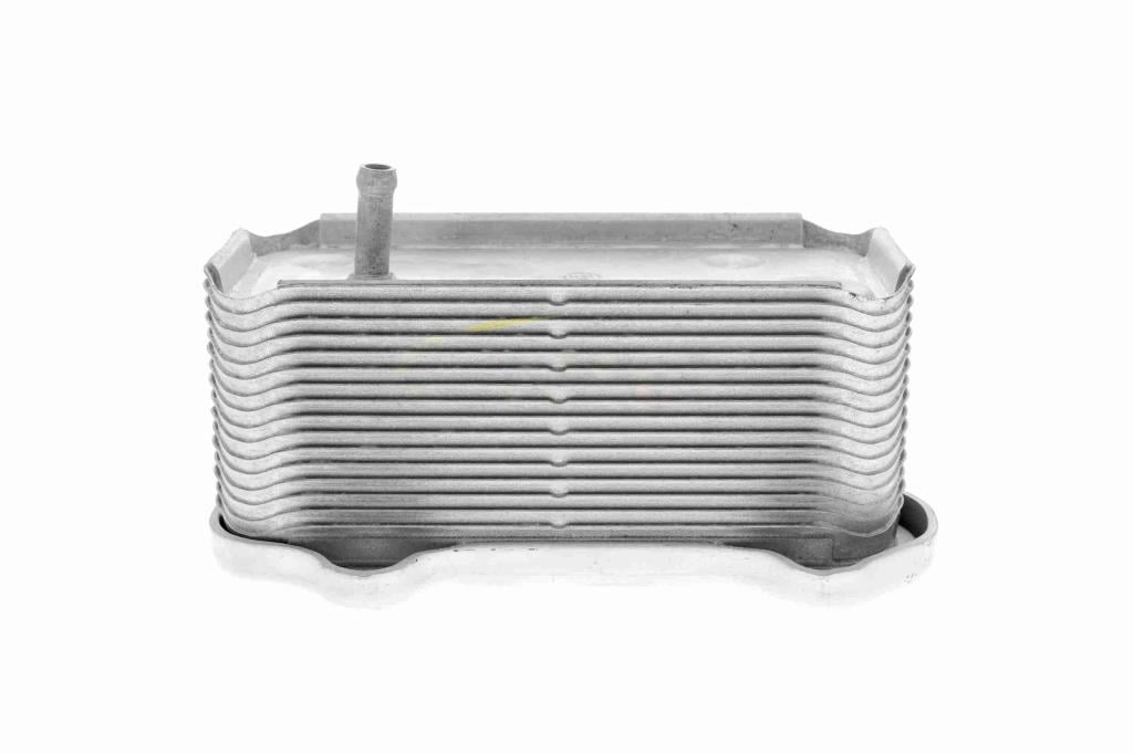 Radiador óleo motor VEMO ref. V45-60-0003