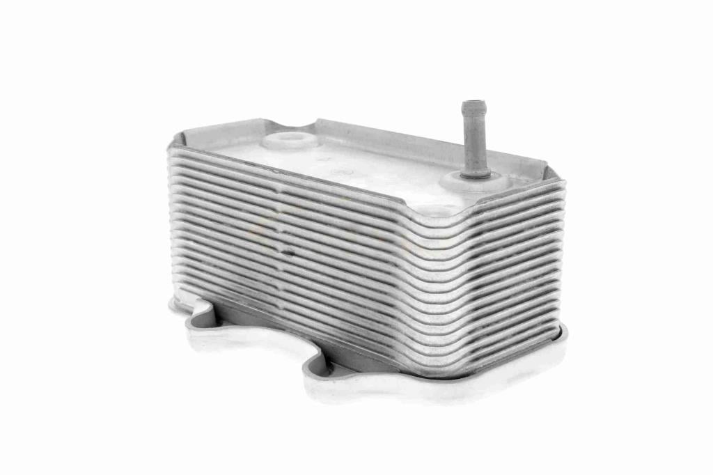 Radiador óleo motor VEMO ref. V45-60-0003