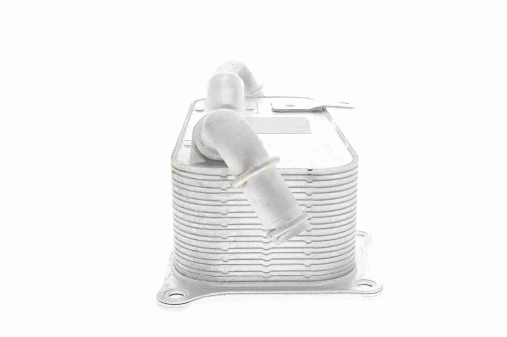 Radiateur d'huile moteur (Refroidisseur d'huile moteur) VEMO V45-60-0009