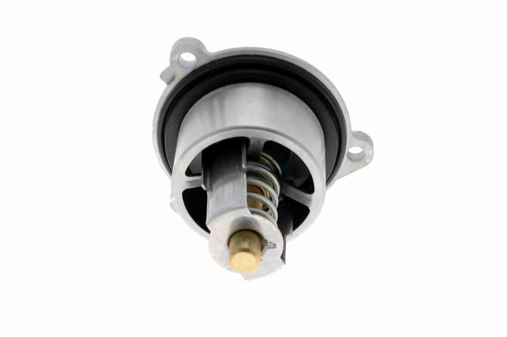 Thermostat d'eau (Calorstat) VEMO V45-99-0006