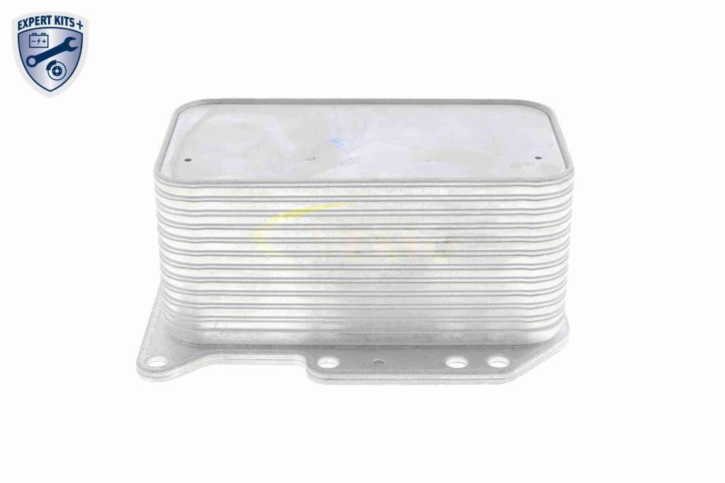 Radiateur d'huile moteur (Refroidisseur d'huile moteur) VEMO V46-60-0012