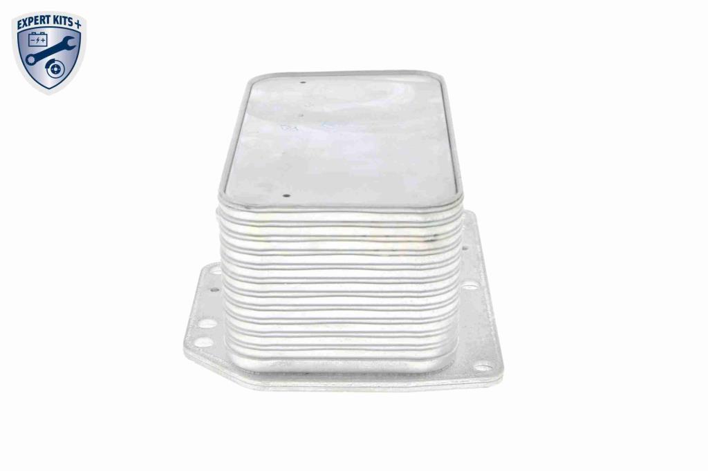 Radiateur d'huile moteur (Refroidisseur d'huile moteur) VEMO V46-60-0012