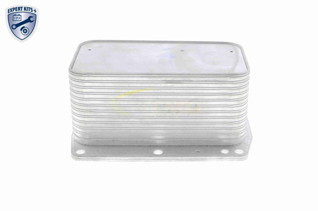Radiateur d'huile moteur (Refroidisseur d'huile moteur) VEMO V46-60-0012