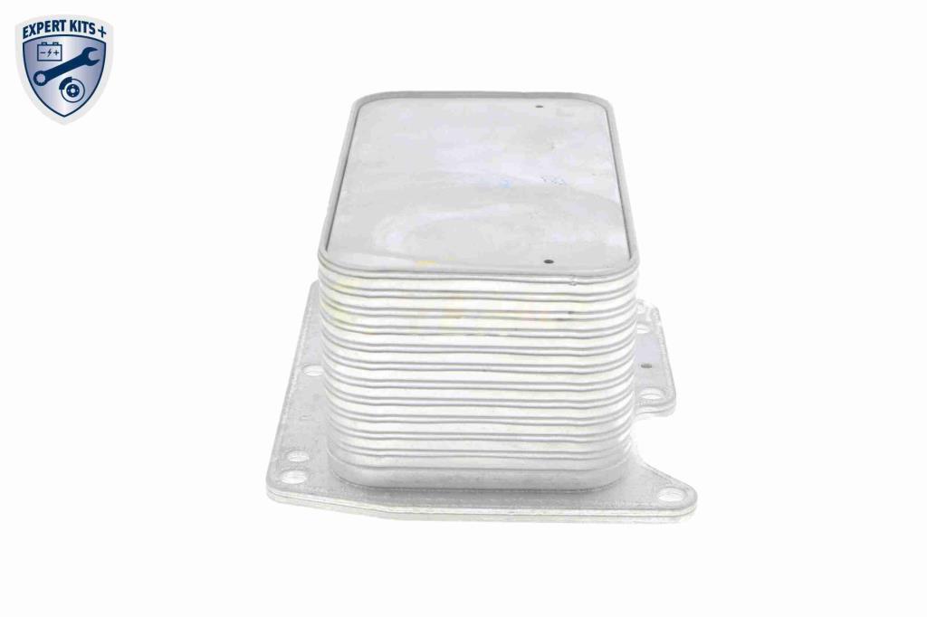 Radiateur d'huile moteur (Refroidisseur d'huile moteur) VEMO V46-60-0012