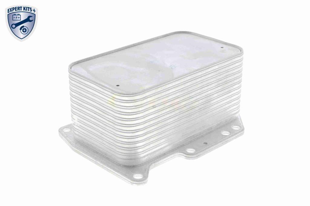 Radiateur d'huile moteur (Refroidisseur d'huile moteur) VEMO V46-60-0012