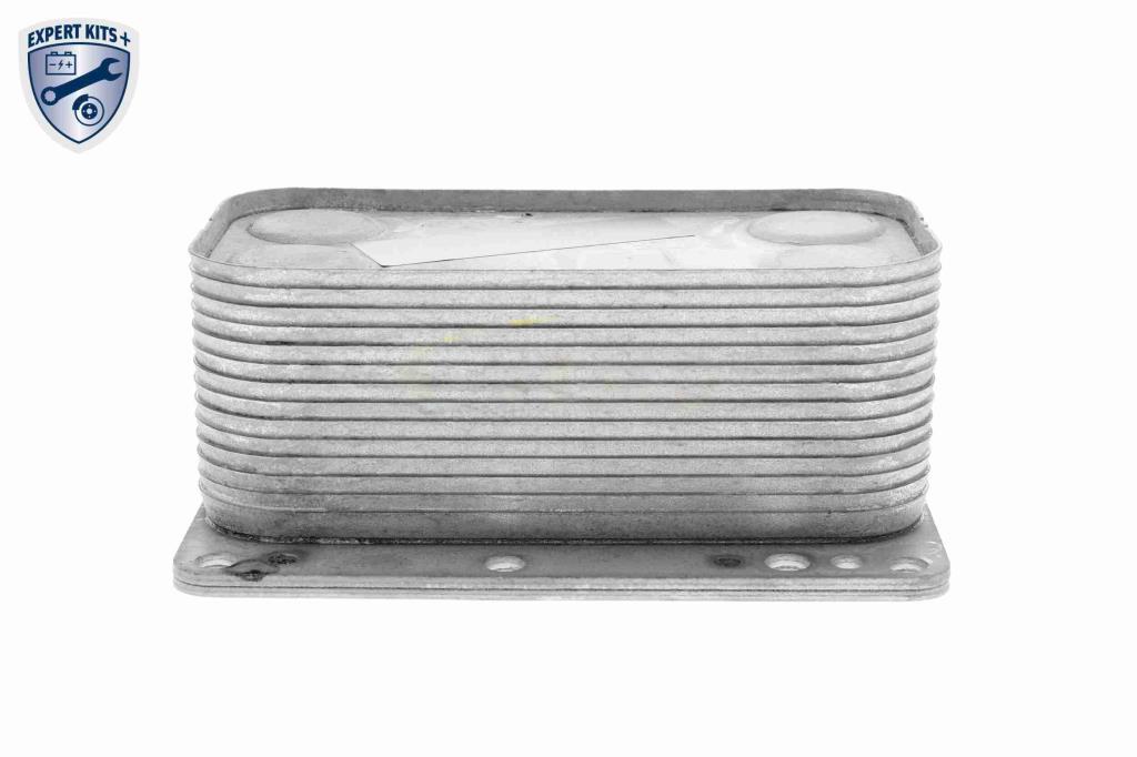 Radiateur d'huile moteur (Refroidisseur d'huile moteur) VEMO V46-60-0015