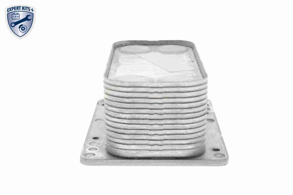 Radiateur d'huile moteur (Refroidisseur d'huile moteur) VEMO V46-60-0015
