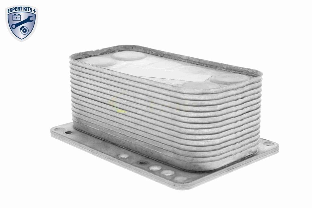 Radiateur d'huile moteur (Refroidisseur d'huile moteur) VEMO V46-60-0015