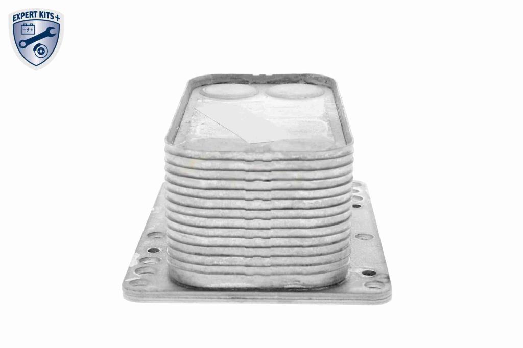 Radiateur d'huile moteur (Refroidisseur d'huile moteur) VEMO V46-60-0015