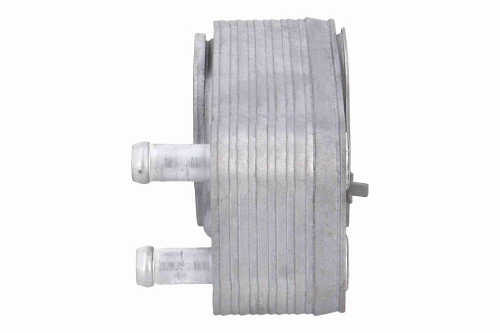 Radiador óleo motor VEMO ref. V46-60-0088