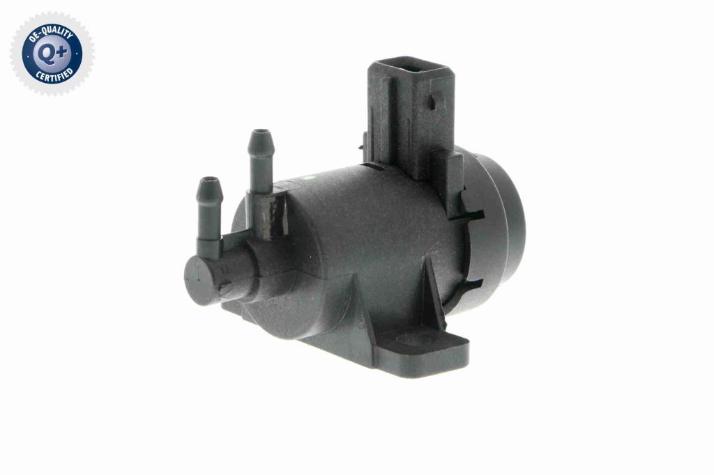 Butée hydraulique Coupé