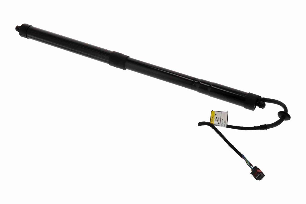 Butée hydraulique Coupé