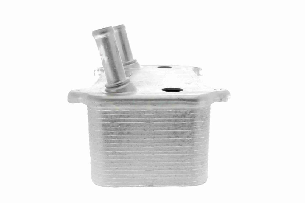 Radiador óleo motor VEMO ref. V48-60-0008