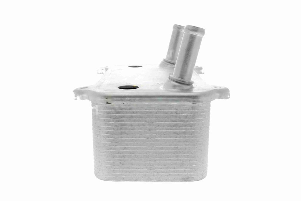 Radiador óleo motor VEMO ref. V48-60-0008