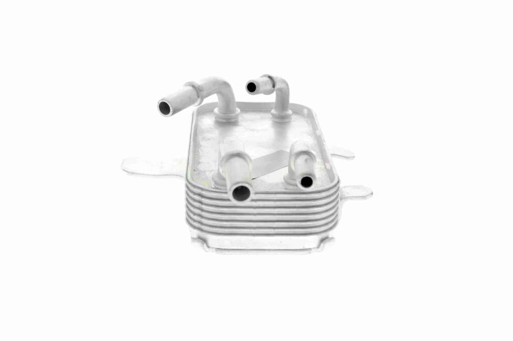 Radiador óleo motor VEMO ref. V48-60-0011