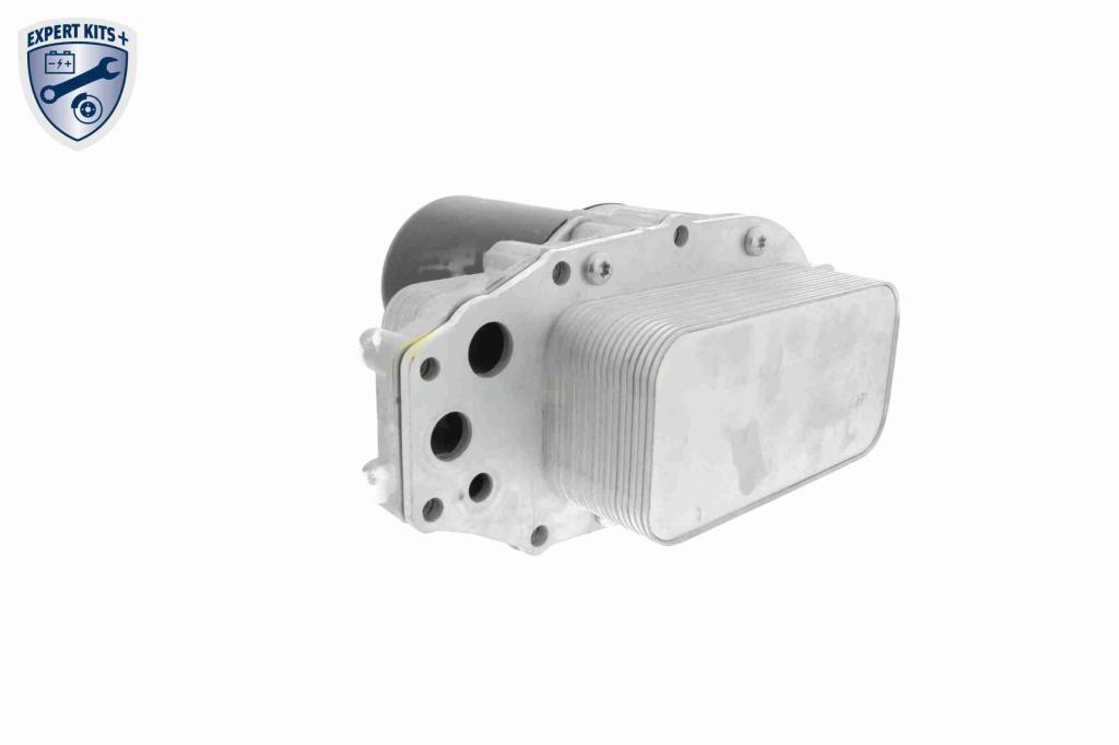 Radiador óleo motor VEMO ref. V48-60-0019