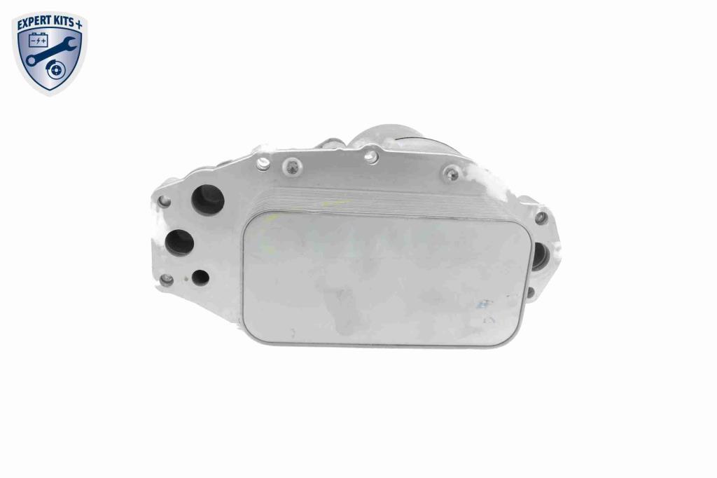 Radiador óleo motor VEMO ref. V48-60-0019