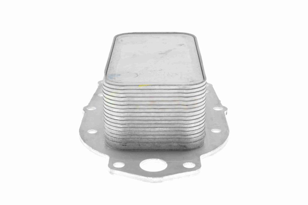 Radiador óleo motor VEMO ref. V48-60-0020