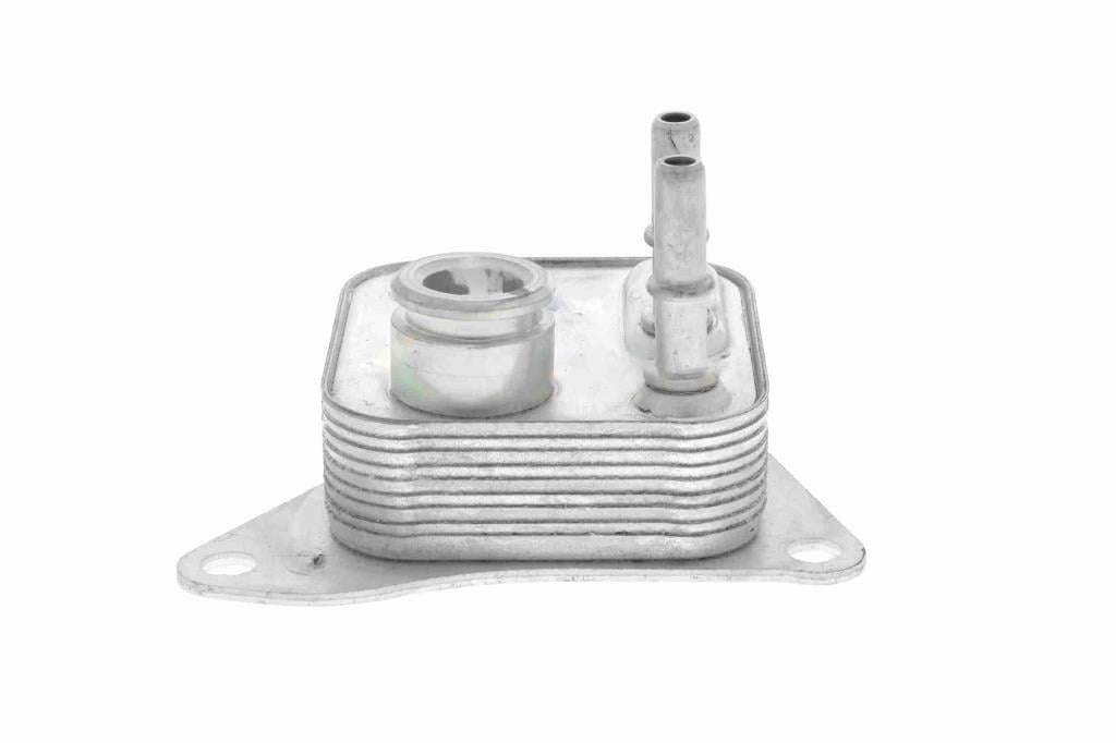 Radiador óleo motor VEMO ref. V48-60-0021