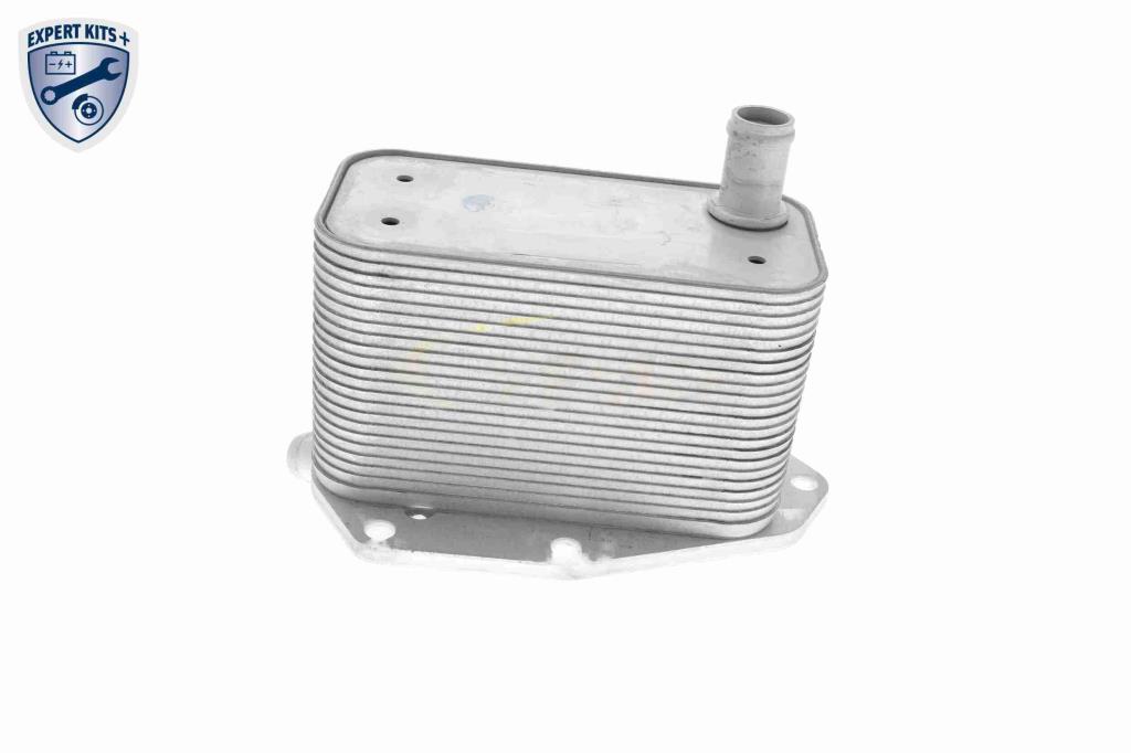 Radiador óleo motor VEMO ref. V48-60-0022