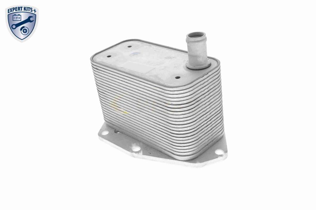 Radiador óleo motor VEMO ref. V48-60-0022