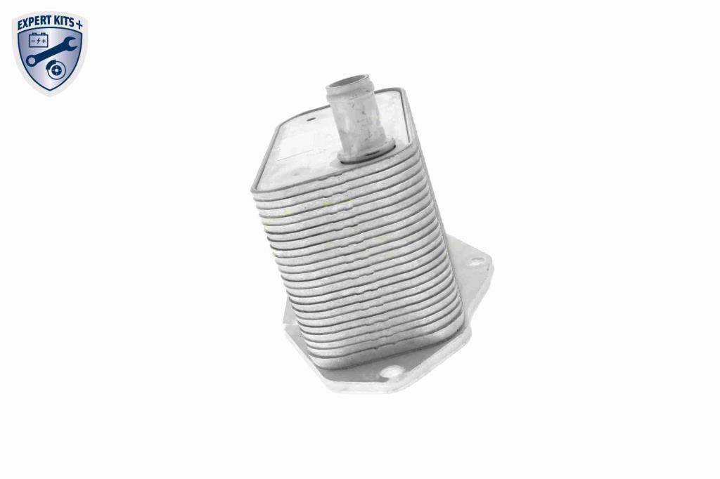 Radiador óleo motor VEMO ref. V48-60-0022
