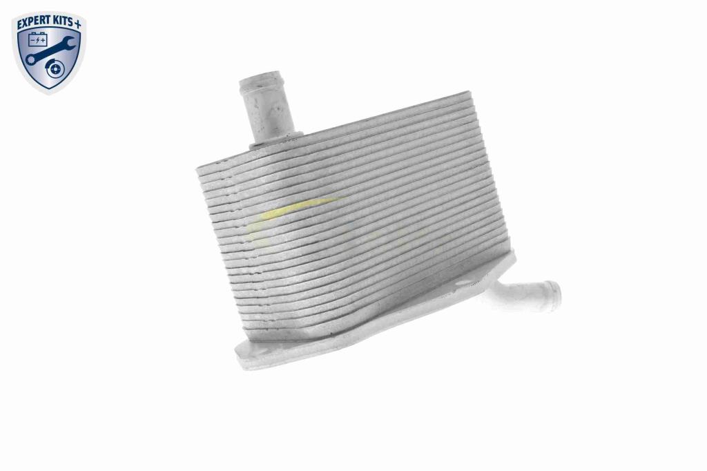 Radiador óleo motor VEMO ref. V48-60-0022