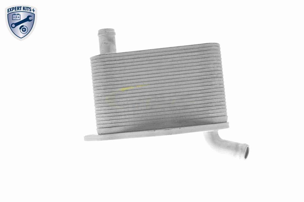 Radiador óleo motor VEMO ref. V48-60-0022