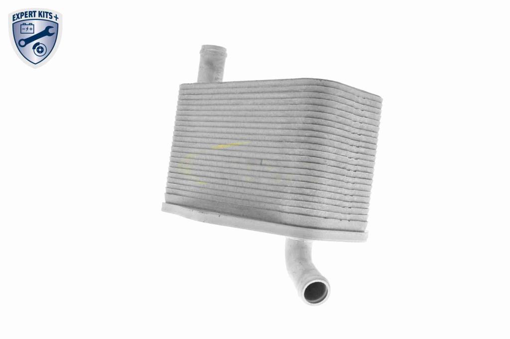 Radiador óleo motor VEMO ref. V48-60-0022