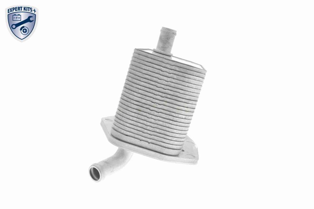Radiador óleo motor VEMO ref. V48-60-0022