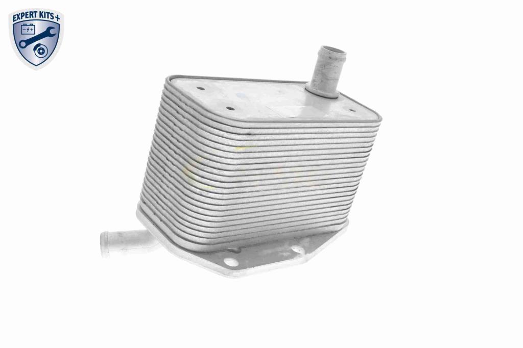 Radiador óleo motor VEMO ref. V48-60-0022