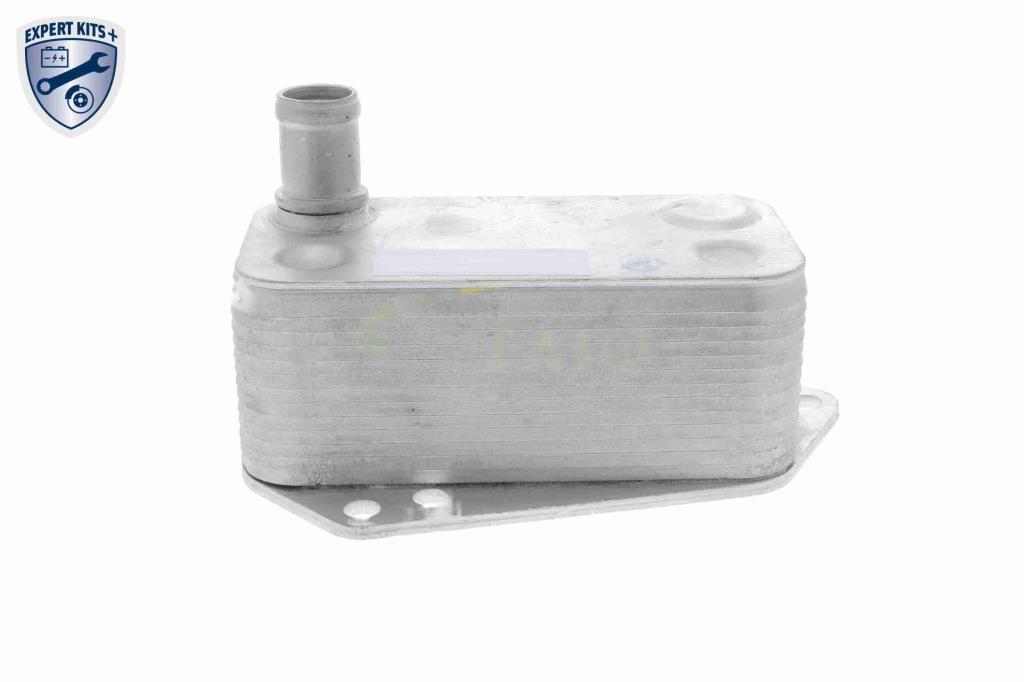 Radiador óleo motor VEMO ref. V48-60-0023