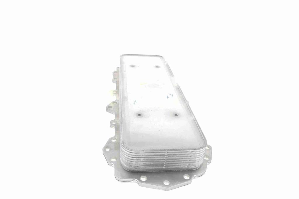 Radiador óleo motor VEMO ref. V48-60-0024