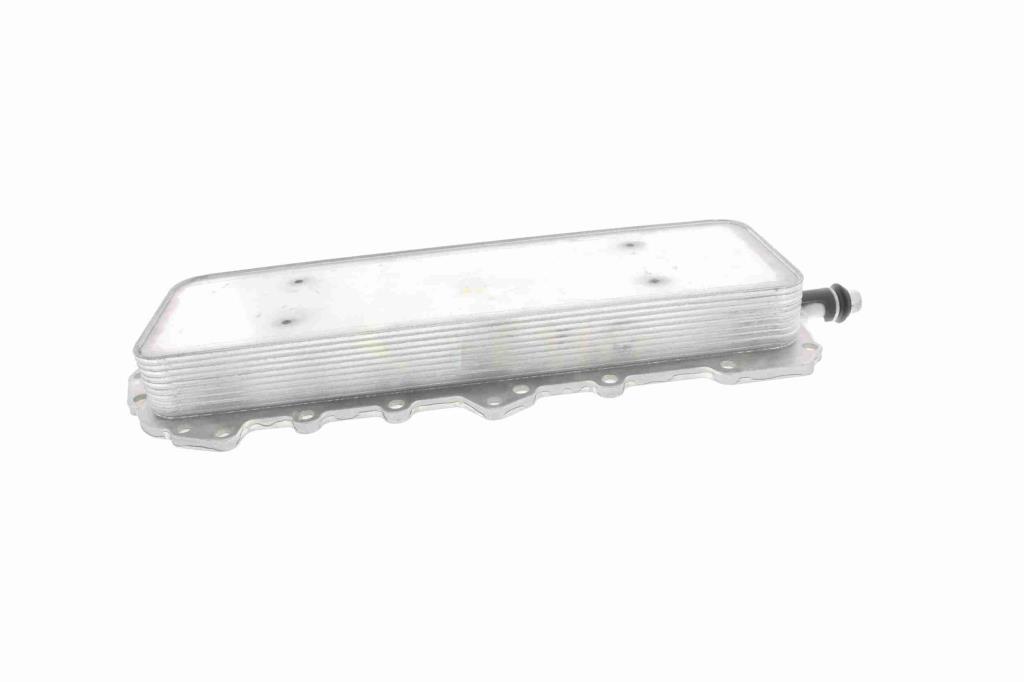 Radiador óleo motor VEMO ref. V48-60-0024