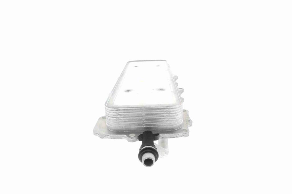 Radiador óleo motor VEMO ref. V48-60-0024