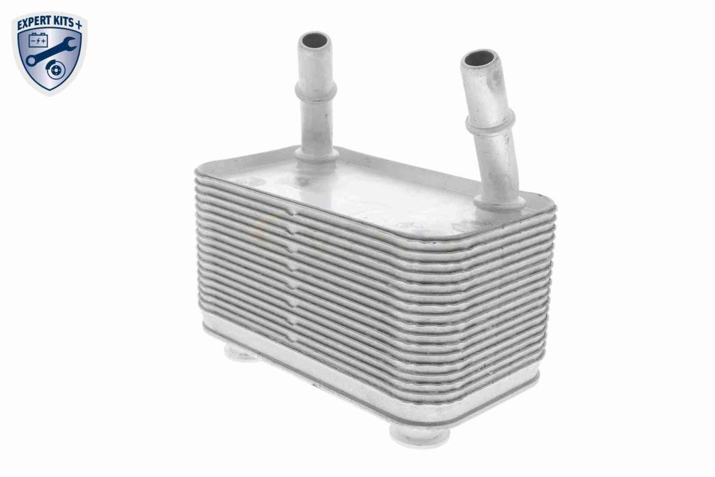 Radiador óleo motor VEMO ref. V48-60-0025