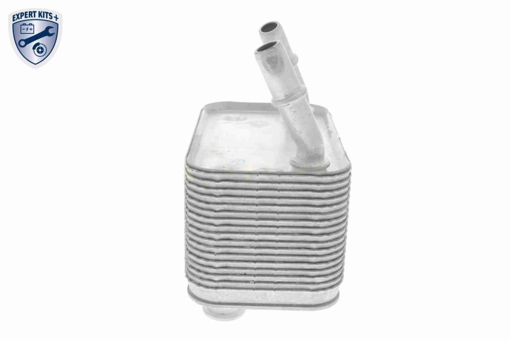 Radiador óleo motor VEMO ref. V48-60-0025