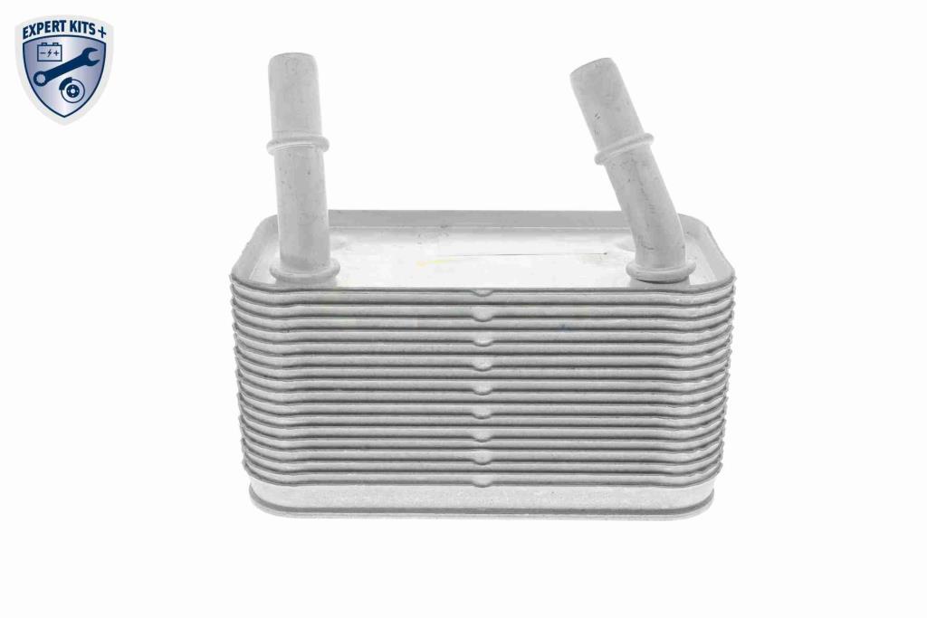 Radiador óleo motor VEMO ref. V48-60-0025